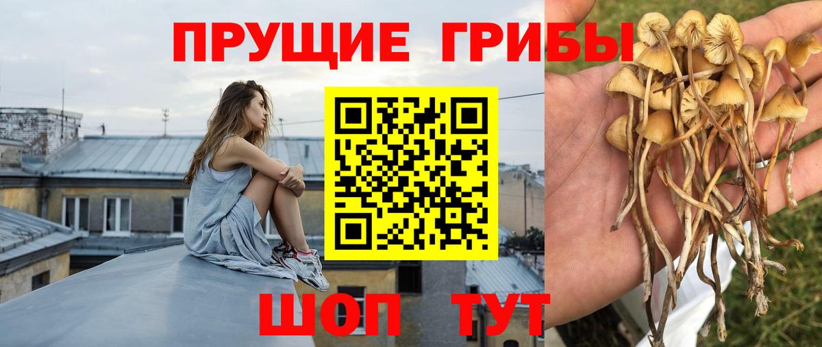 Псилоцибиновые грибы ЛСД Темрюк