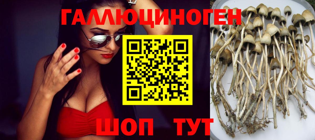 Темрюк  закладки  Вход с VPN  Галлюциногенные грибы мицелий  Псилоцибиновые грибы Psilocybine cubensis 